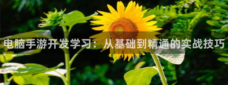 恒盛娱乐平台：电脑手游开发学习：从基础到精通的实战技巧