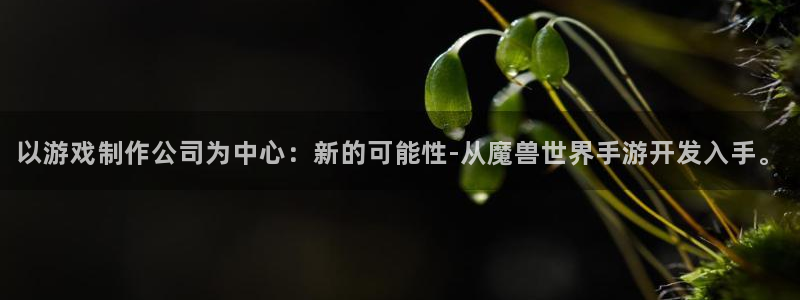 恒盛娱乐官网：以游戏制作公司为中心：新的可能性-从魔兽世界手