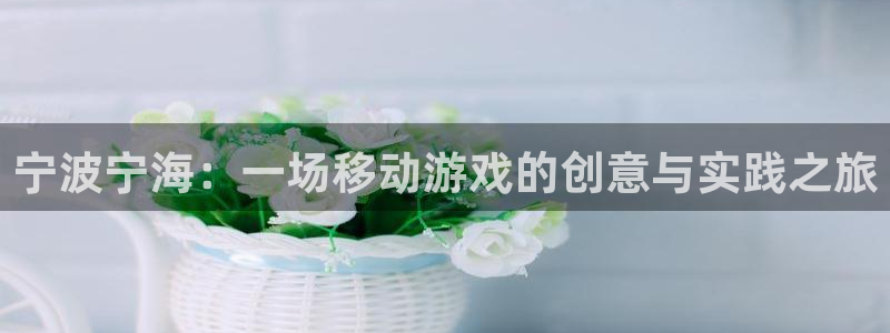 恒盛娱乐注册：宁波宁海：一场移动游戏的创意与实践之旅