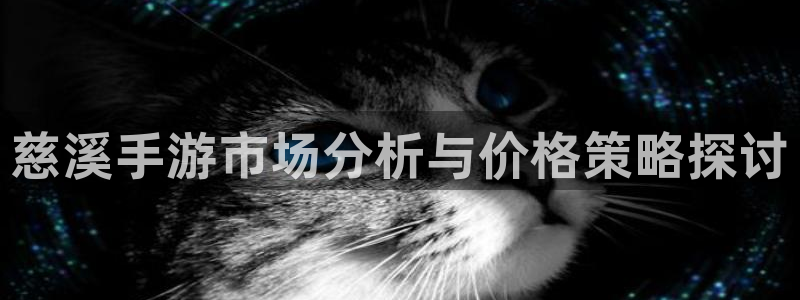 恒盛娱乐首页：慈溪手游市场分析与价格策略探讨