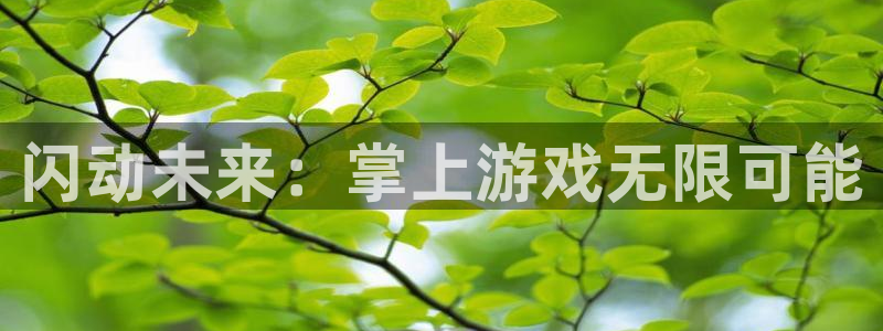 恒盛娱乐官网：闪动未来：掌上游戏无限可能