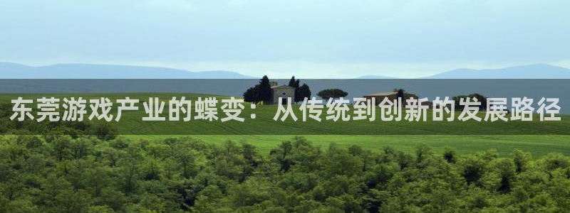 恒盛娱乐app：东莞游戏产业的蝶变：从传统到创新的发展路径