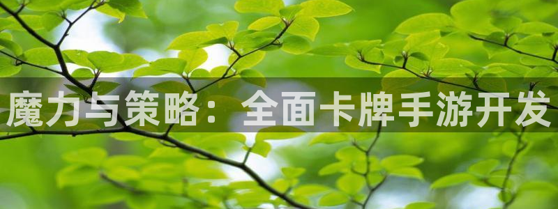 恒盛娱乐：魔力与策略：全面卡牌手游开发