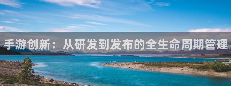 恒盛娱乐注册：手游创新：从研发到发布的全生命周期管理