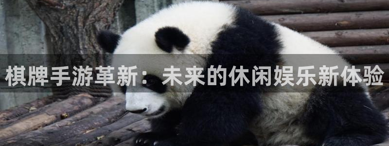 恒盛娱乐官网：棋牌手游革新：未来的休闲娱乐新体验