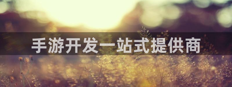 恒盛娱乐注册：手游开发一站式提供商