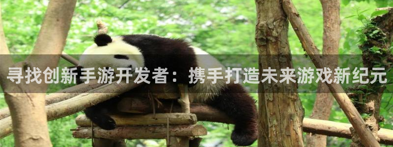 恒盛娱乐官网：寻找创新手游开发者：携手打造未来游戏新纪元