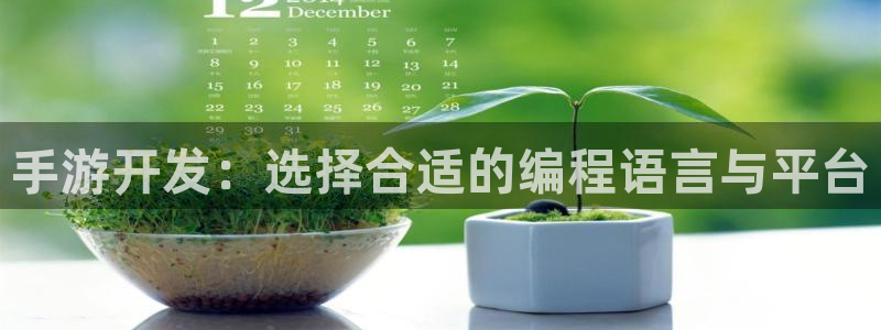 恒盛娱乐：手游开发：选择合适的编程语言与平台