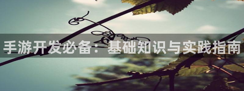 恒盛娱乐app：手游开发必备：基础知识与实践指南