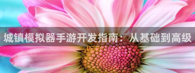 恒盛娱乐登录：城镇模拟器手游开发指南：从基础到高级