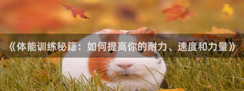 77体育app下载官网