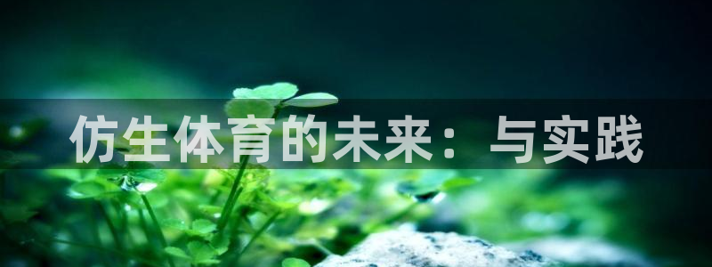77体育
