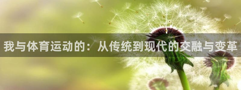 77体育
